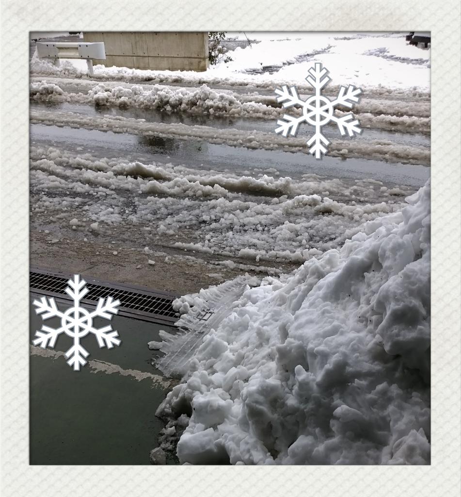 路上の雪写真